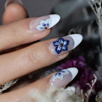 Etoile Bleue